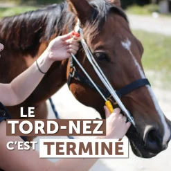 Stableizer - Taille M Produits De Pharmacie