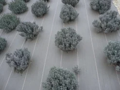 Sale Toile tissée polypropylène 130g/m² - 100m Aménagement Extérieur