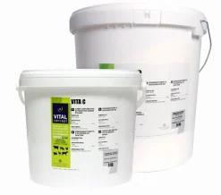 Online Vita C poudre Minéraux & Vitamines|Aliments Complémentaires